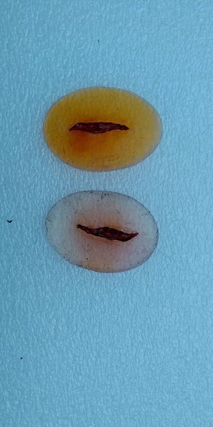 A-IMG_20210227_180359