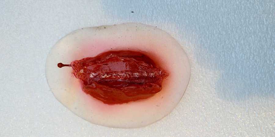 A-IMG_20210227_181226