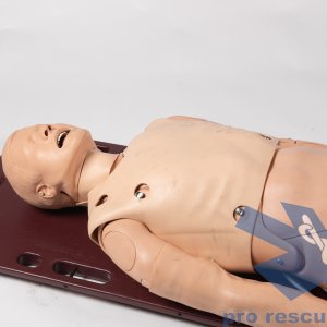 ALS manikin adult